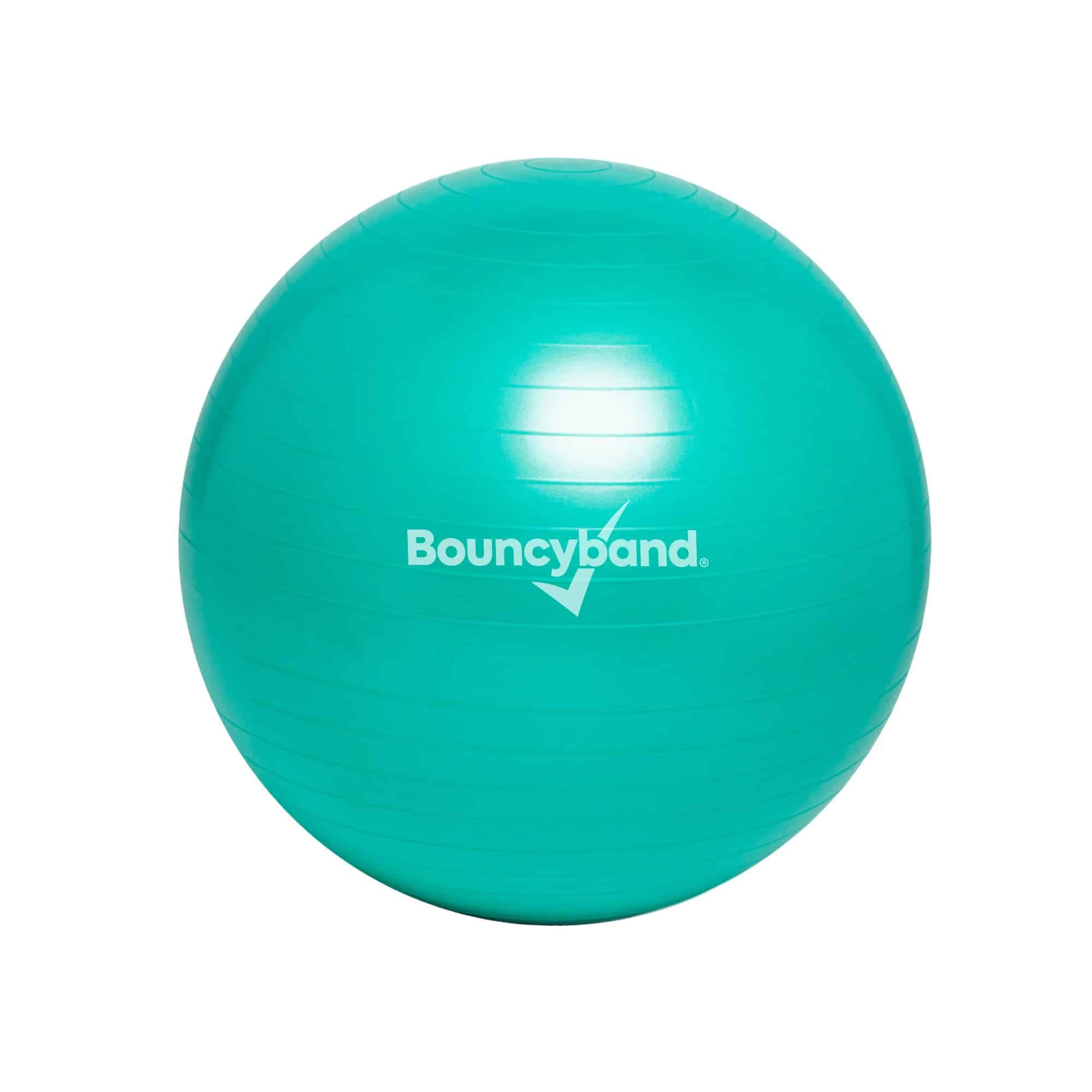 Weighted Balance Ball (Adult) 9070